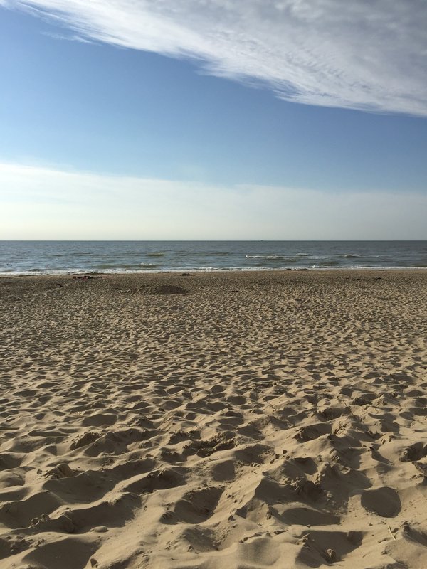 Texel (NL), De Koog, Strand -- 2017 -- 7145