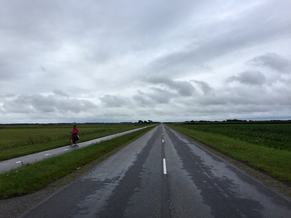 Texel (NL), Nieuwlandeweg -- 2017 -- 7200