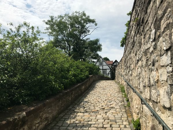 Warburg (DE), Ikenberg -- 2019 -- 0168