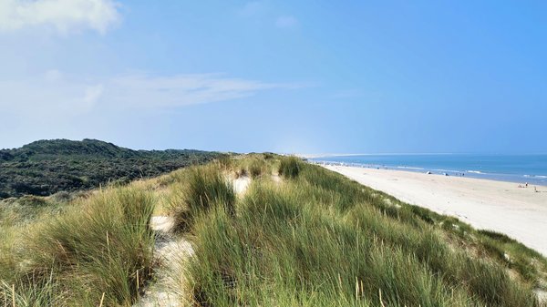 Renesse (NL), Dünen -- 2020 -- 123836