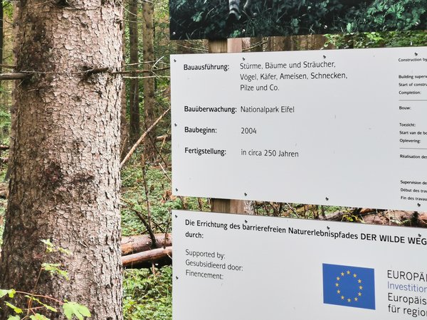 Heimbach (DE), Wildniswerkstatt Düttling -- 2020 -- 160419