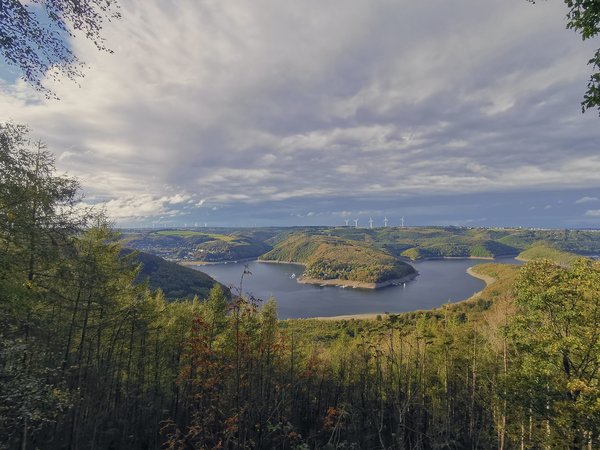 Schleiden (DE), Rursee vom Kermeter -- 2020 -- 165456