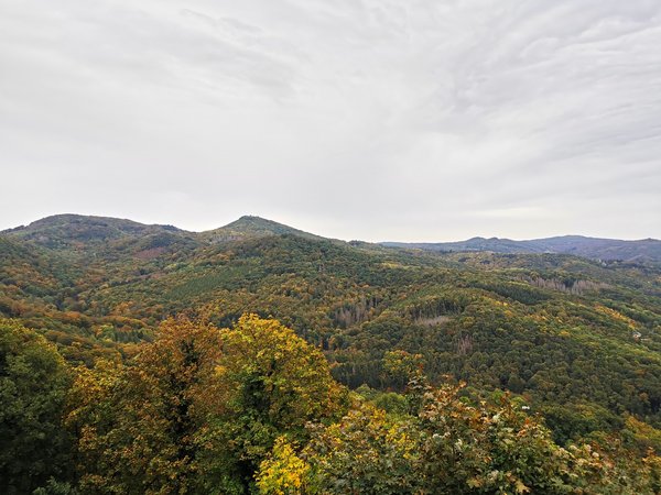Königswinter (DE), Drachenfels, Blick nach Osten -- 2020 -- 160813