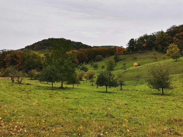 Königswinter (DE), Siebengebirge -- 2020 -- 162833