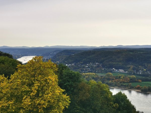 Königswinter (DE), Drachenfels, Blick nach Norden -- 2020 -- 164247