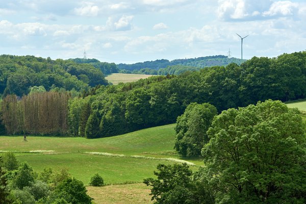 Hückeswagen (DE), Bevertalsperre -- 2022 -- 0081