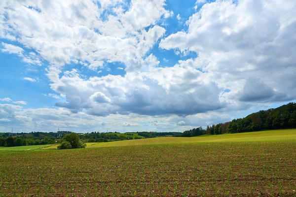Hückeswagen (DE), Landwirtschaft -- 2022 -- 0127