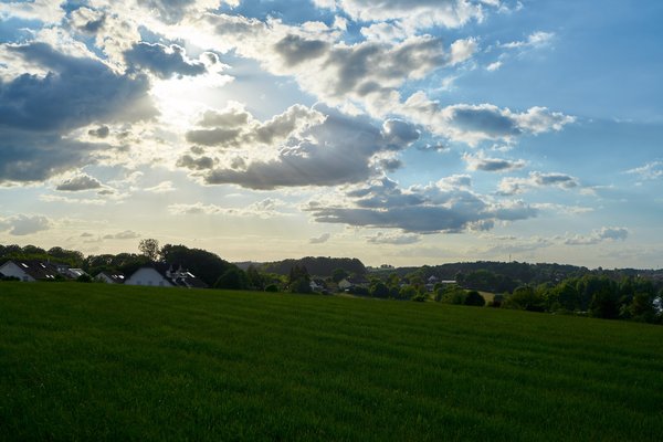 Marienheide (DE), Feld -- 2022 -- 0384