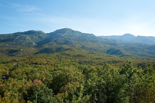 Dugopolje (HR), Veliki Kabal -- 2022 -- 0110