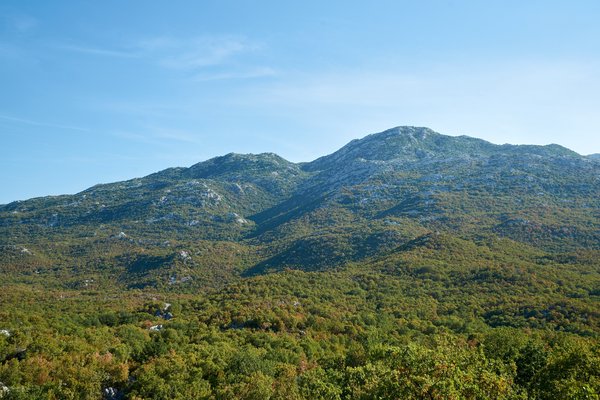 Dugopolje (HR), Veliki Kabal -- 2022 -- 0111