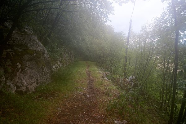 Gračac (HR), Obere Cerovac-Höhle -- 2022 -- 0160