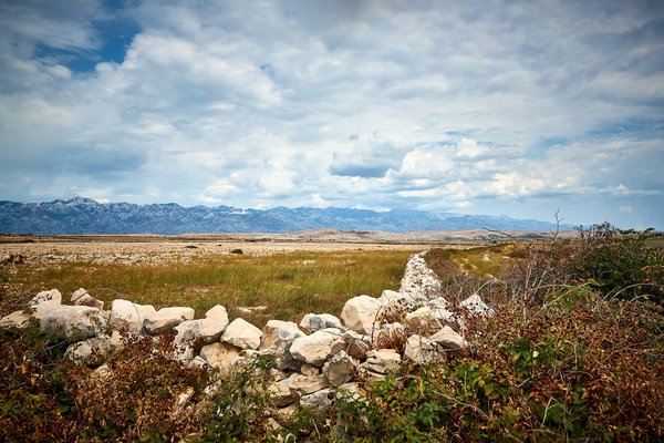 Pag (HR), Veliko Blato -- 2022 -- 0077