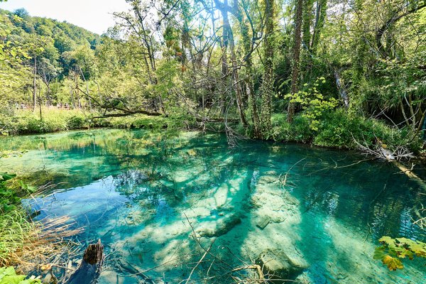 Lika-Senj (HR), Plitvicer Seen, Gradinsko -- 2022 -- 0116