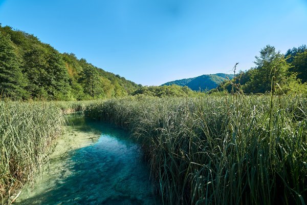 Lika-Senj (HR), Plitvicer Seen, Kozjak -- 2022 -- 0221