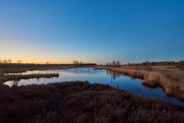 Weismes (BE), Brackvenn -- 2022 -- 0061