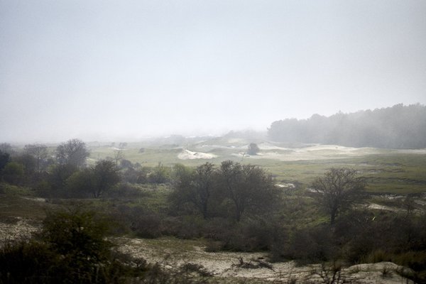 Renesse (NL), Dünenlandschaft -- 2023 -- 0055