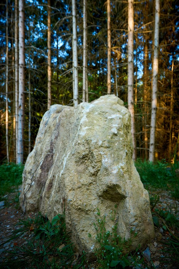 Olsberg (DE), Istenberg, Fels im Wald -- 2023 -- 0239