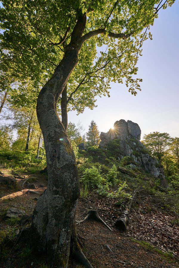 Olsberg (DE), Bruchhauser Steine -- 2023 -- 0250