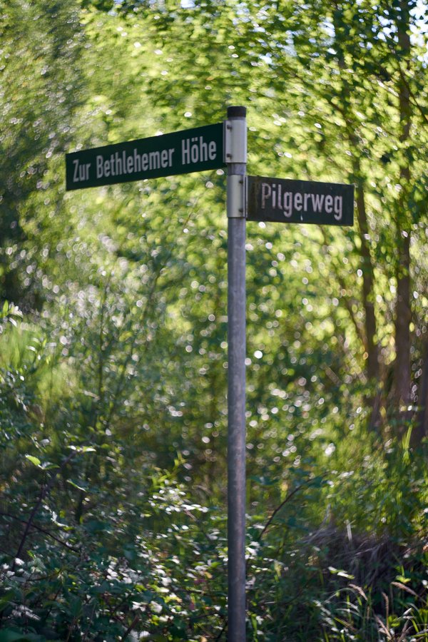 Bergheim (DE), Bethlehemer Höhe -- 2023 -- 0212