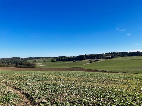 Kall (DE), Landschaft -- 2023 -- 9277