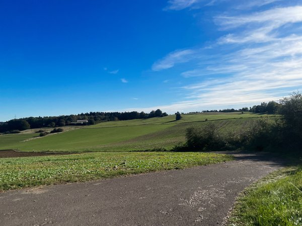 Kall (DE), Landschaft -- 2023 -- 9281