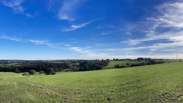 Hellenthal (DE), Landschaft -- 2023 -- 9299