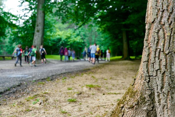 Düsseldorf (DE), Grafenberger Wald -- 2024 -- 0022