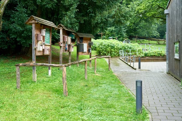 Düsseldorf (DE), Grafenberger Wald -- 2024 -- 0055