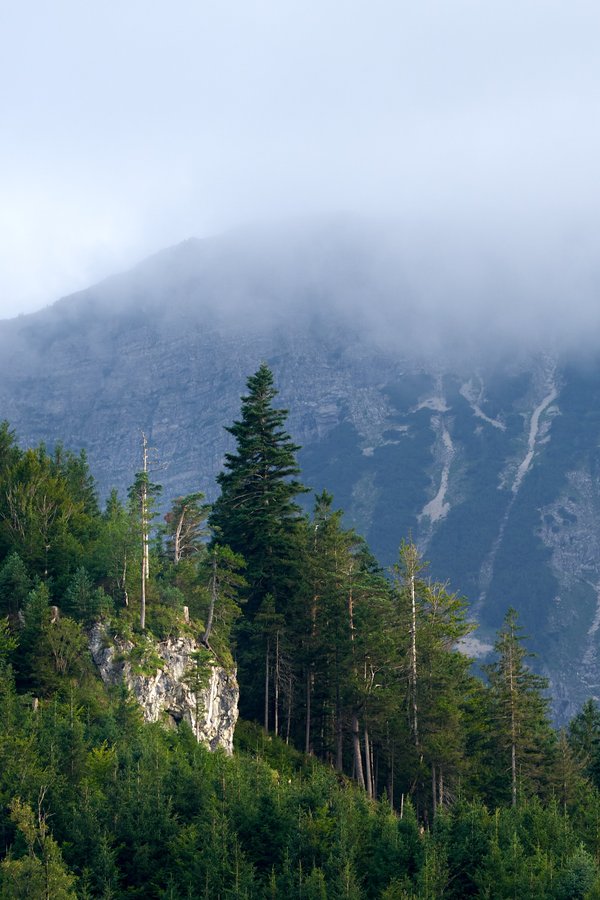 Reutte (AT), Tannheimer Berge -- 2024 -- 0062