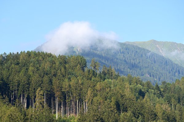 Inzing (AT), Stubaier Alpen -- 2024 -- 0020