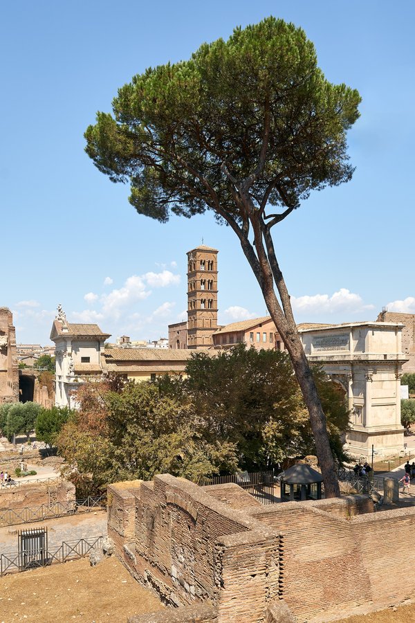 Rom (IT), Forum Romanum, Santa Francesca Romana -- 2024 -- 0039