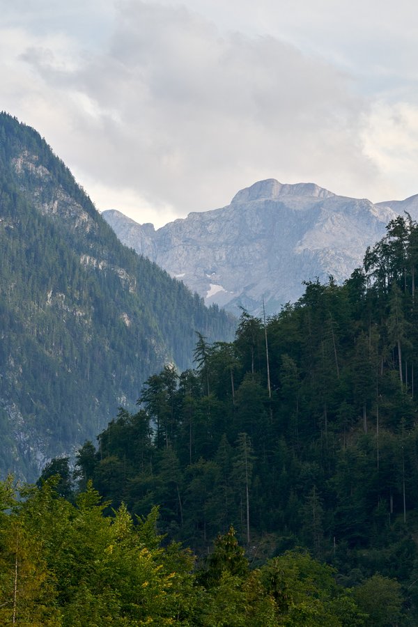 Schönau am Königssee (DE), Jenner & Funtenseetauern -- 2024 -- 0917