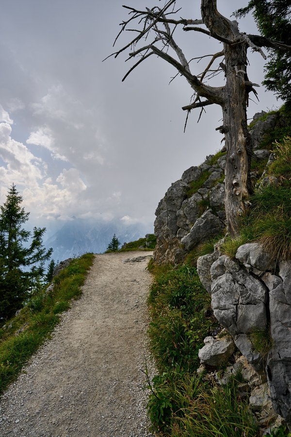 Schönau am Königssee (DE), Jenner -- 2024 -- 0479