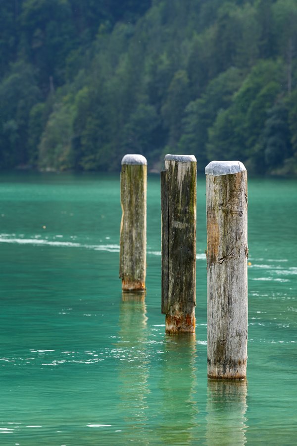 Schönau am Königssee (DE), Dalben im Königssee -- 2024 -- 0659