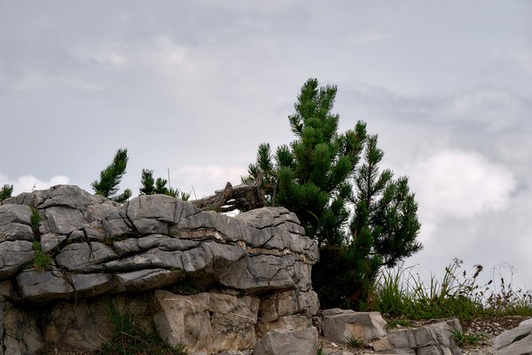 Berchtesgaden (DE), Kehlstein, Gipfel -- 2024 -- 0264