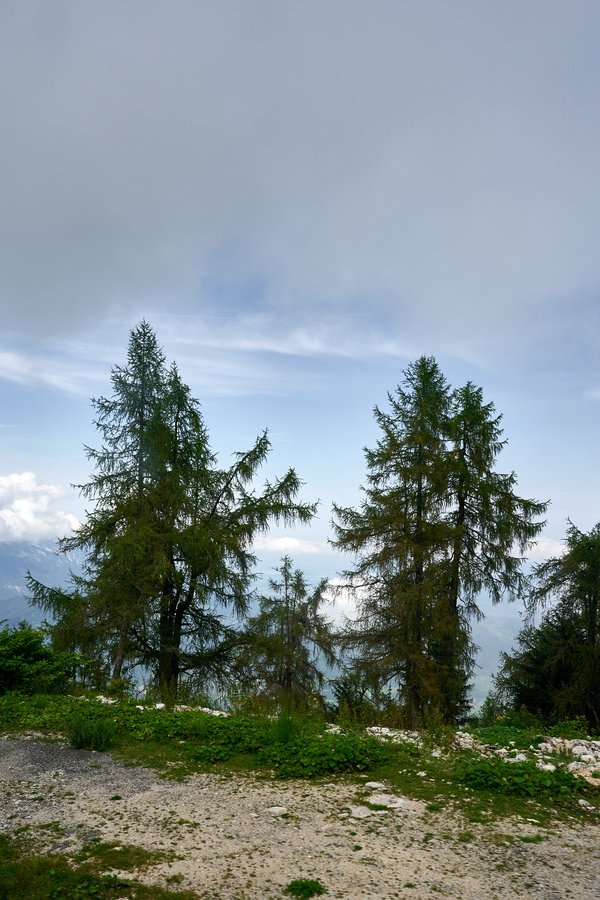 Berchtesgaden (DE), Obersalzberg -- 2024 -- 0377