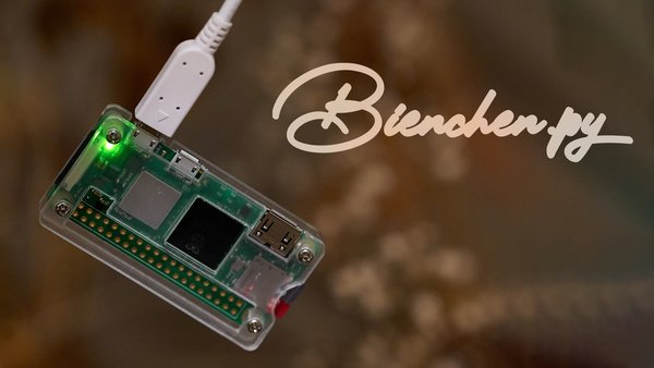 Raspberry Pi Zero 2 W, Bienchen -- 2024 -- 0025X
