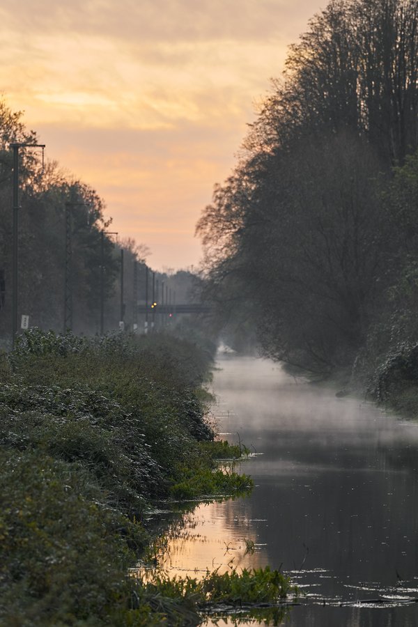 Neuss (DE), Nordkanal -- 2024 -- 0065