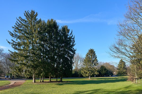 Düsseldorf (DE), Südpark -- 2025 -- 0008