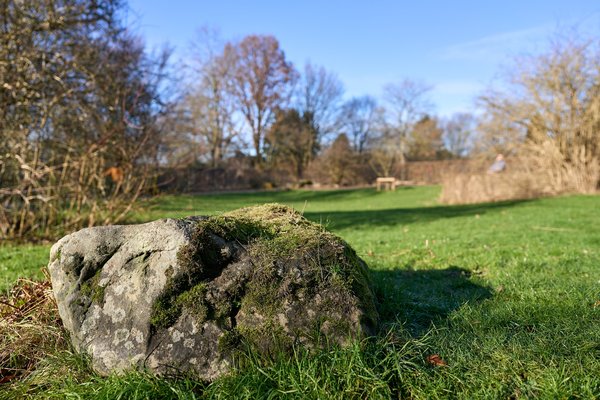 Düsseldorf (DE), Südpark -- 2025 -- 0013